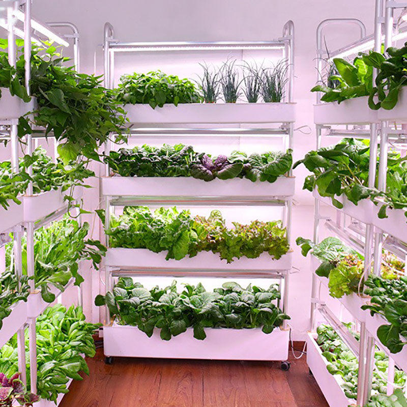 Smart Garden Vertical Planter - Sistema de cultivo hidropónico Vertical inteligente
