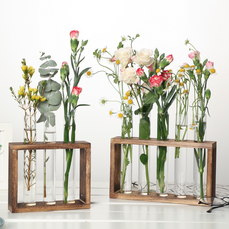Indoor Herb Garden Kit - Macetero hidropónico de vidrio de 5