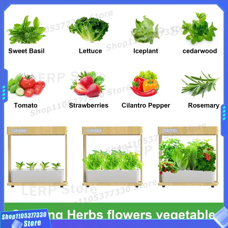 Kit de Jardín Hidropónico Inte - Indoor Herb Garden Kit reseña y precio