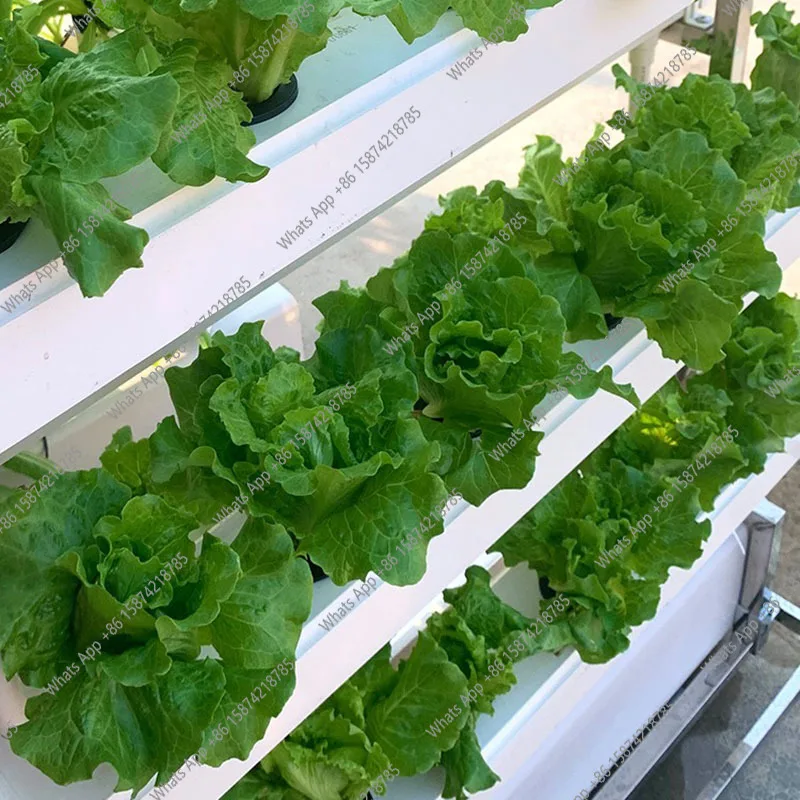 Sistema de cultivo hidropónico - Smart Garden Vertical Planter reseña y precio