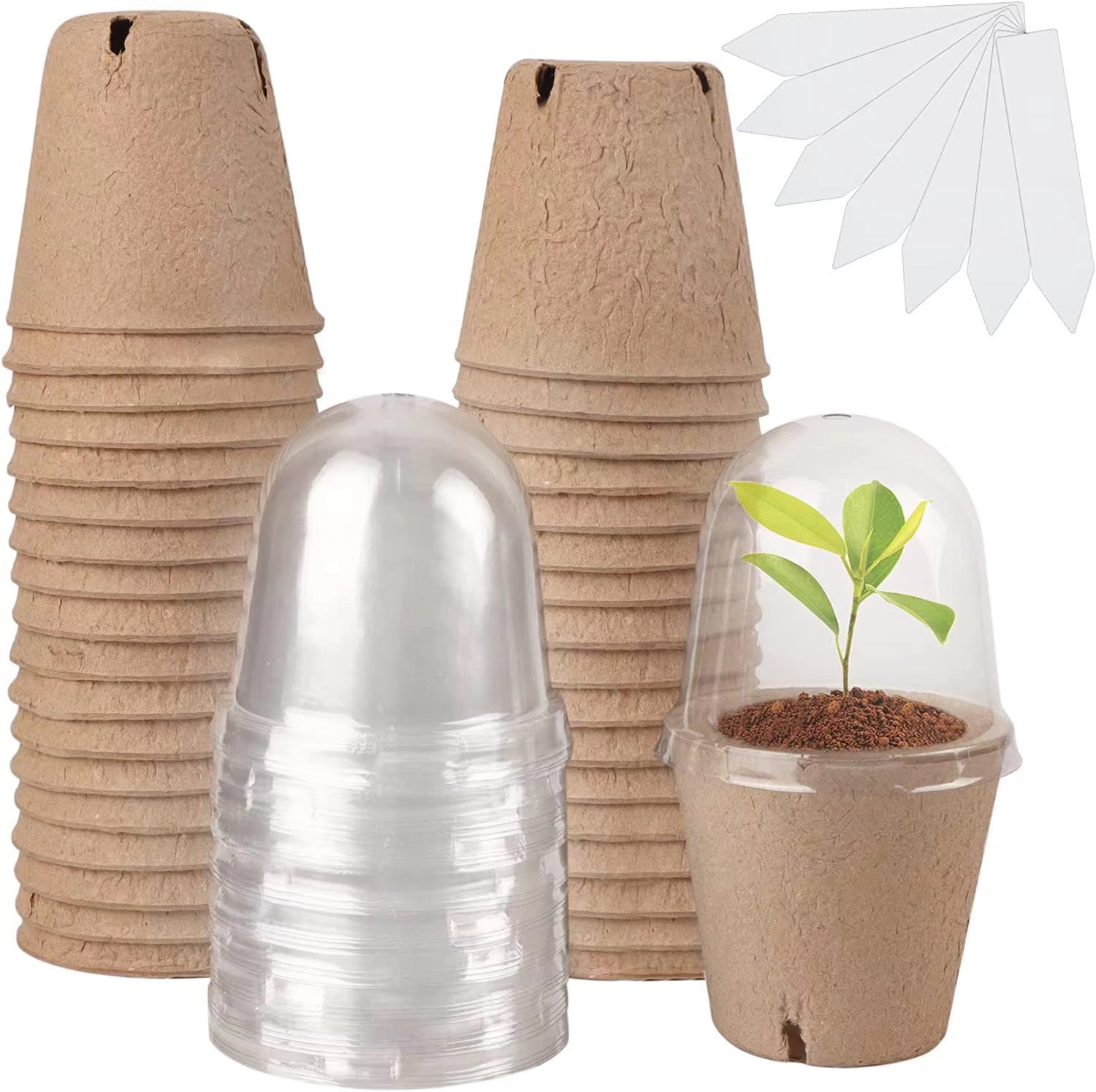 Macetas Biodegradables de Turb - Indoor Herb Garden Kit reseña y precio