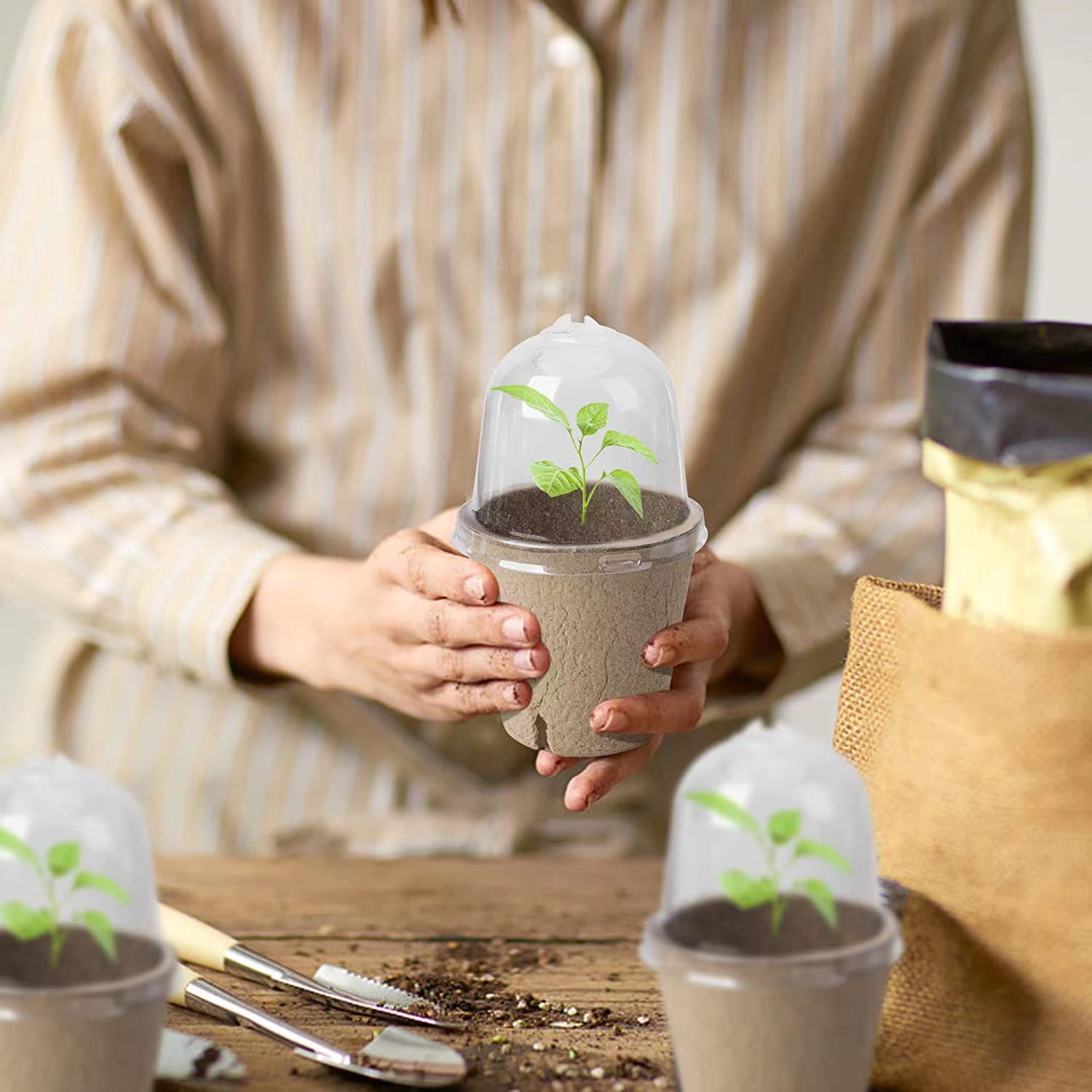 Macetas Biodegradables de Turb - Indoor Herb Garden Kit reseña y precio