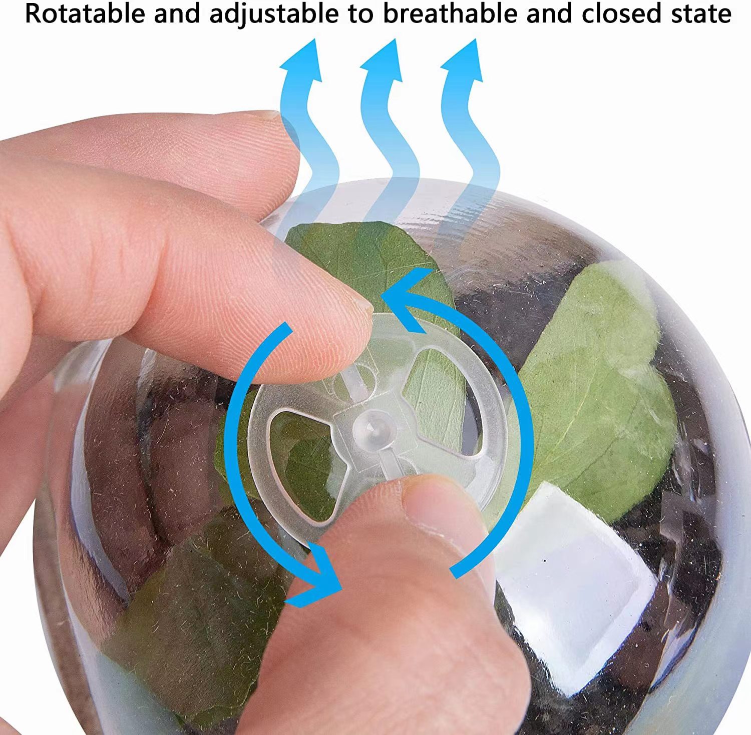 Macetas Biodegradables de Turb - Indoor Herb Garden Kit reseña y precio