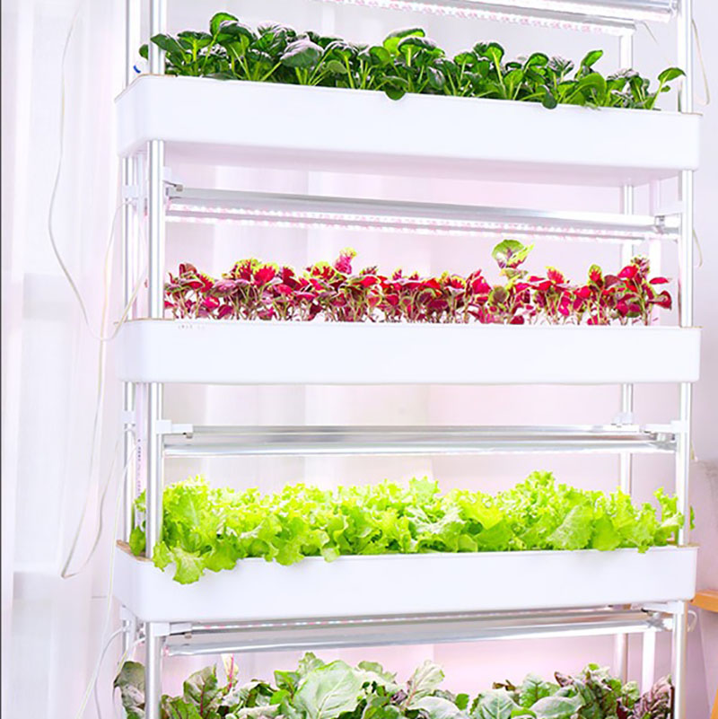 Sistema de cultivo hidropónico - Smart Garden Vertical Planter reseña y precio