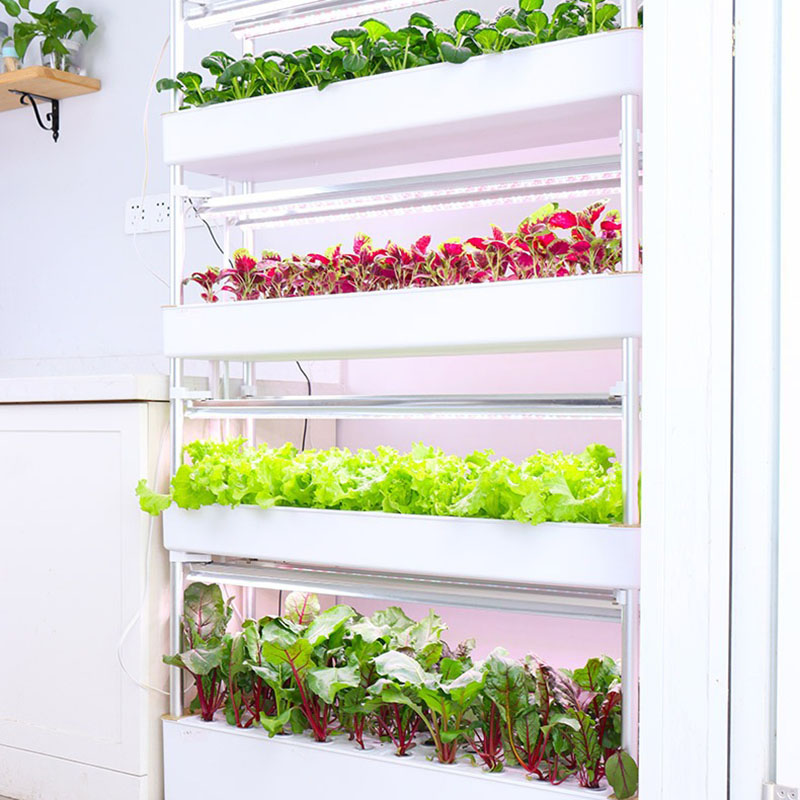 Sistema de cultivo hidropónico - Smart Garden Vertical Planter reseña y precio