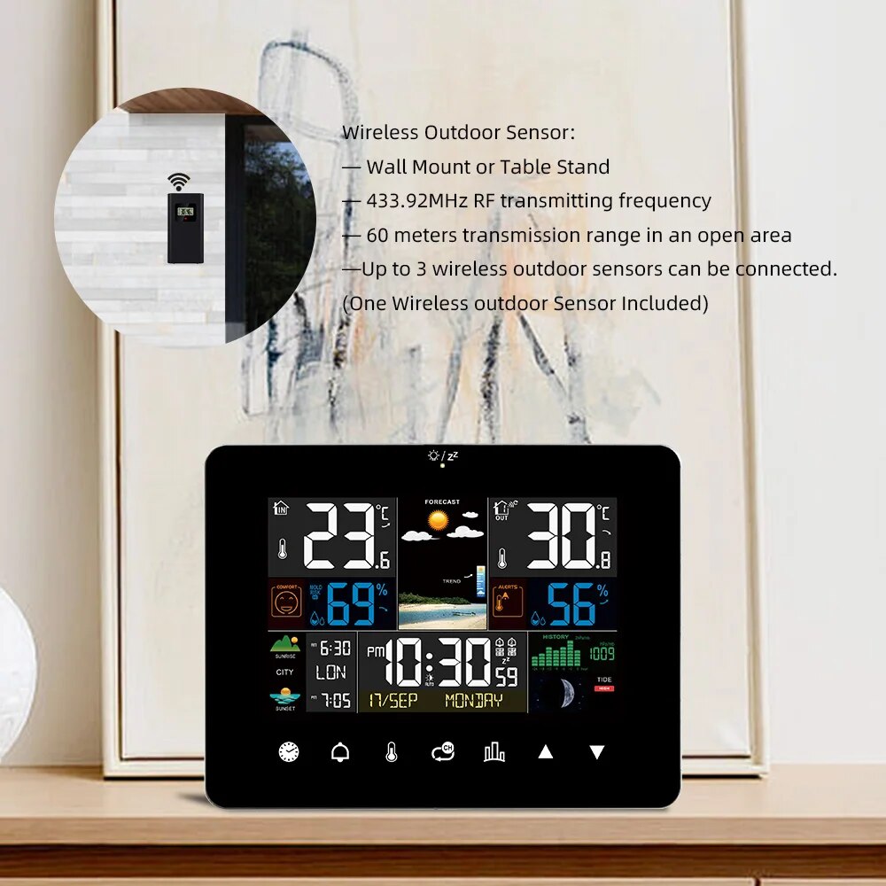 FJ3362G estación meteorológica - Garden Weather Station reseña y precio