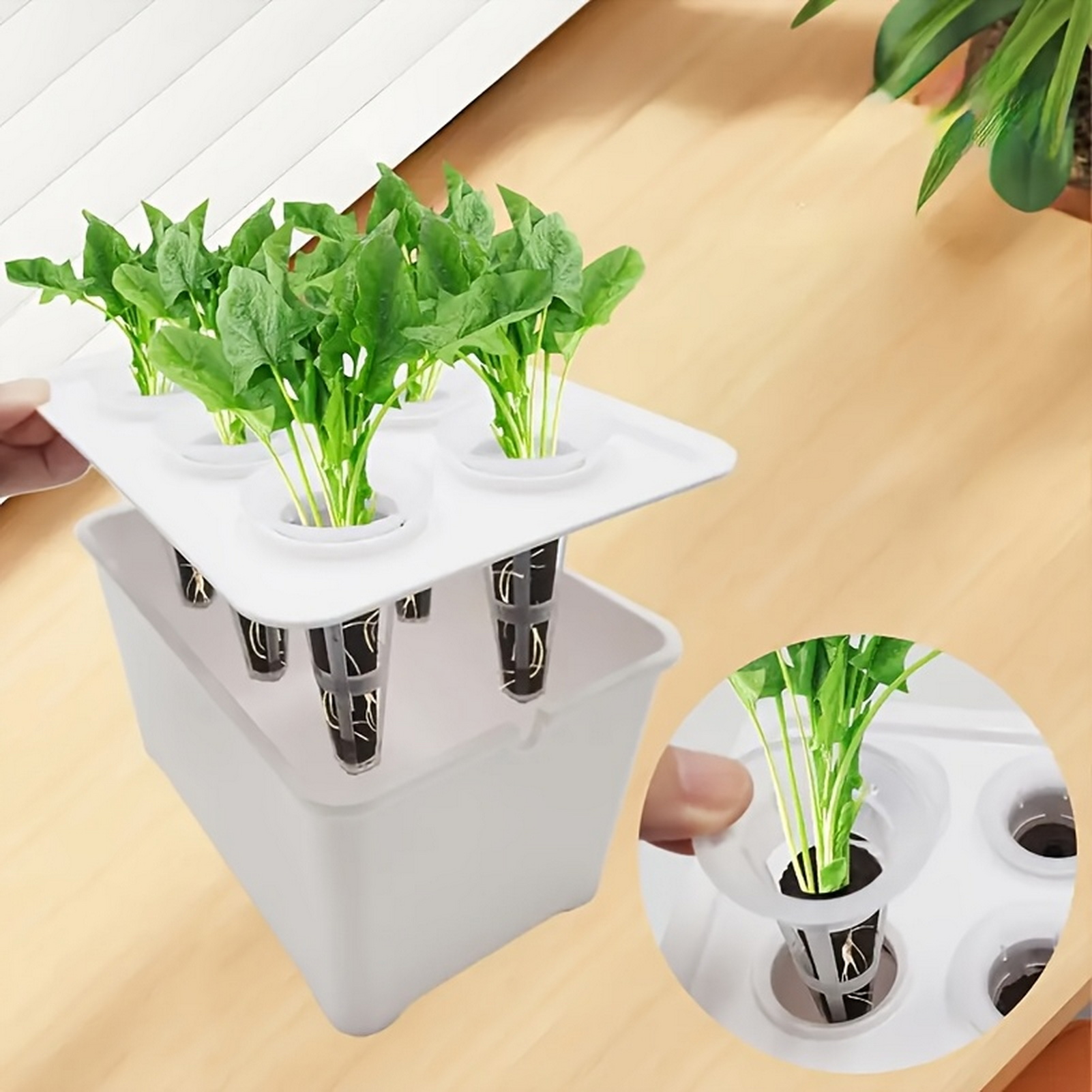 Macetas Hidropónicas 6 en 1, M - Indoor Herb Garden Kit reseña y precio