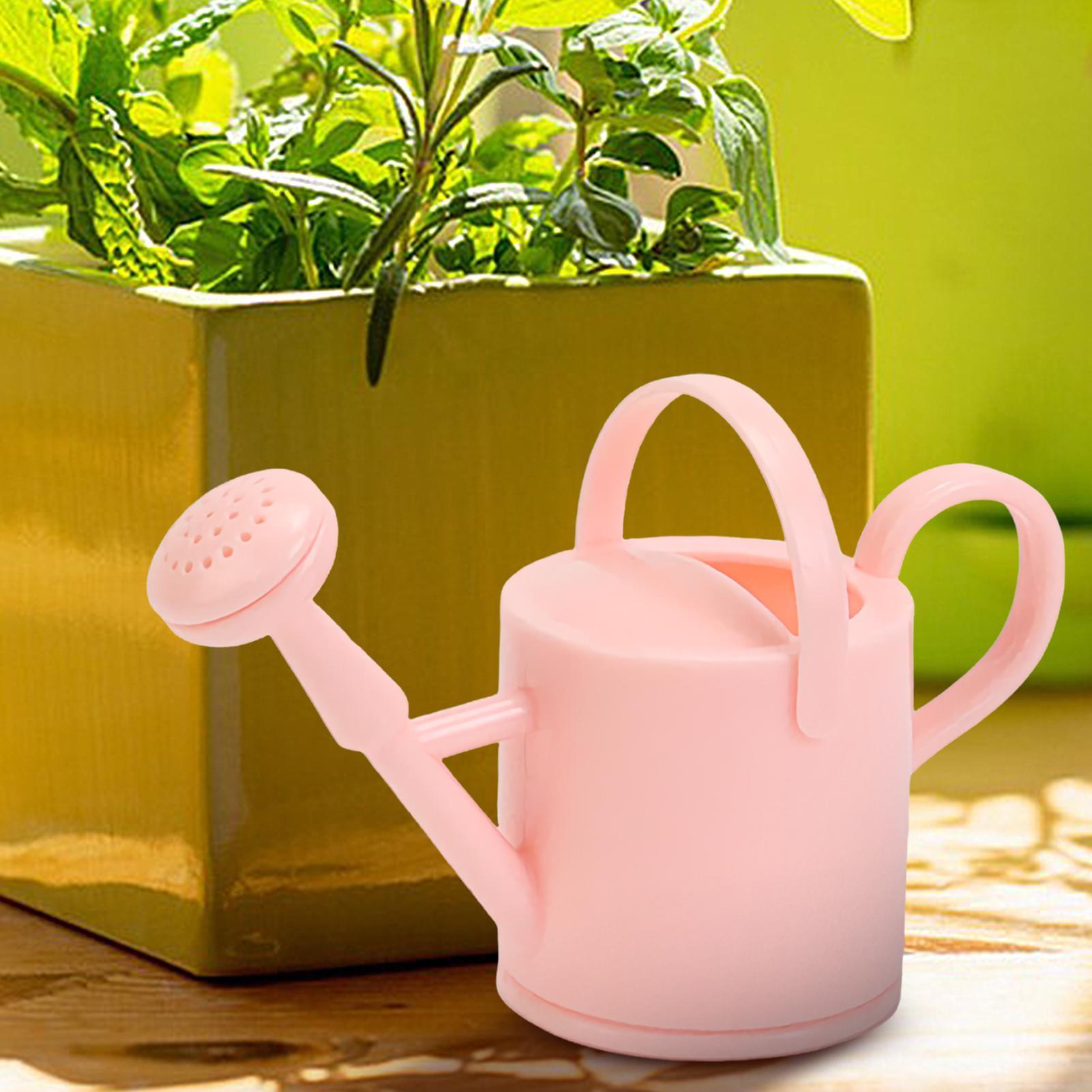 Regadera pequeña para niños, r - Smart Garden Mini reseña y precio