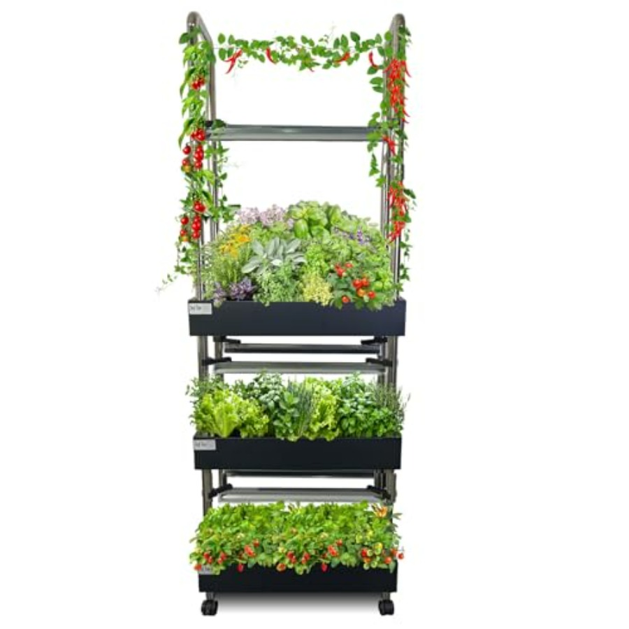 Sistema de cultivo hidropónico - Smart Garden Vertical reseña y precio