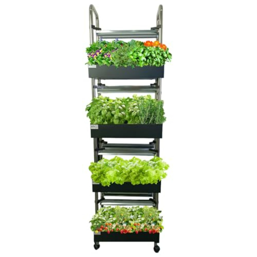 Sistema de cultivo hidropónico - Smart Garden Vertical reseña y precio