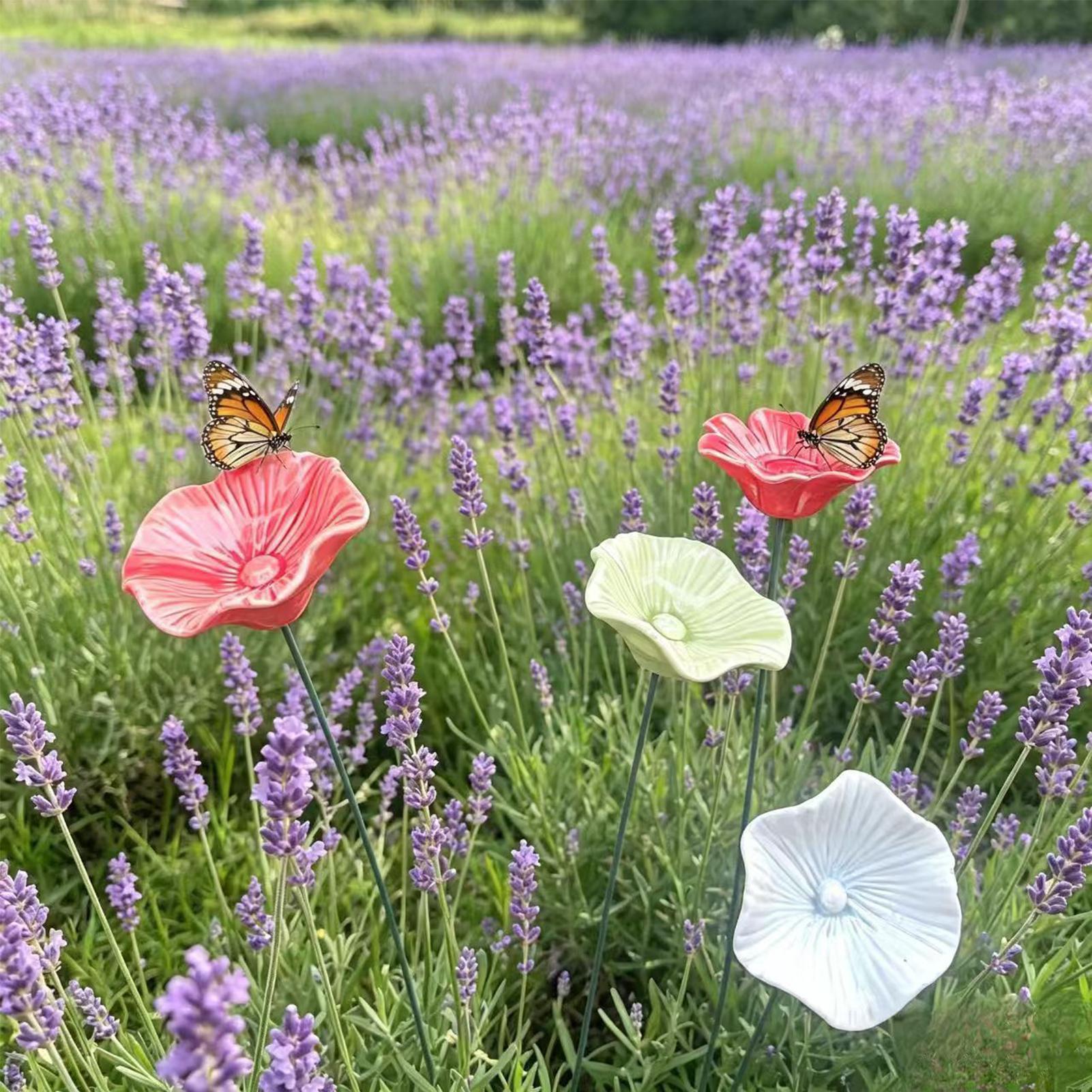 Cuenco de cerámica para abejas - Garden Weather Station reseña y precio
