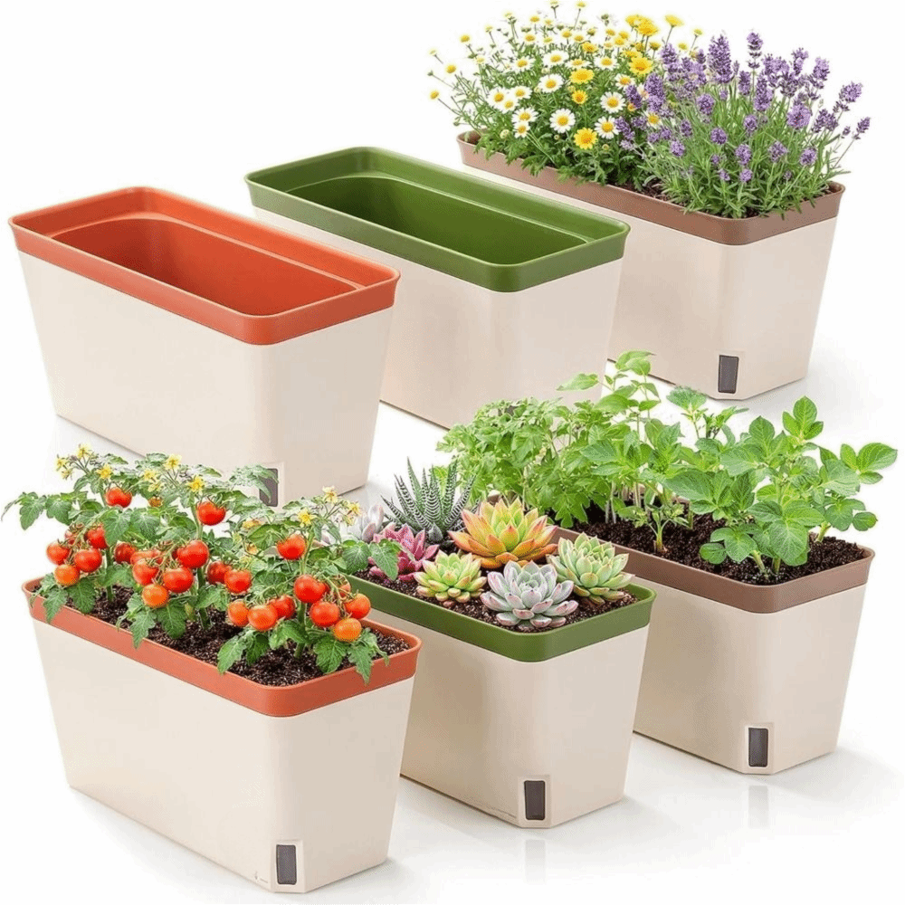 Macetas Modernas de Alta Calid - Indoor Herb Garden Kit reseña y precio