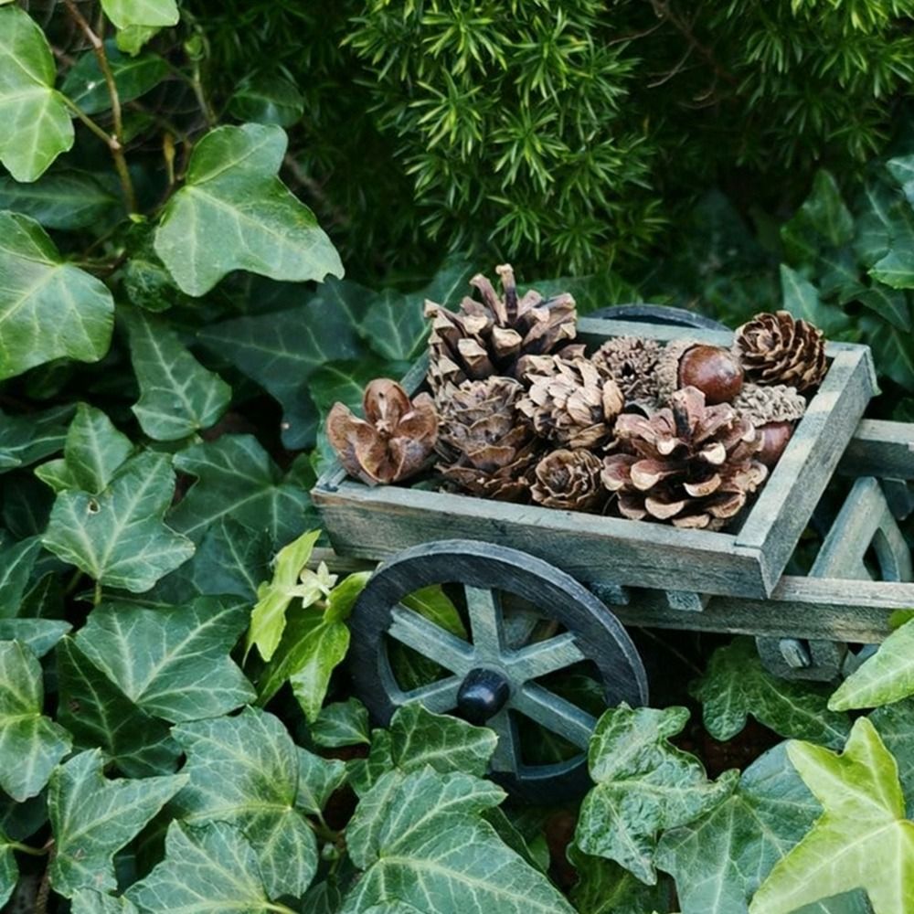 Casa de muñecas a escala 1:12  - Smart Garden Mini reseña y precio