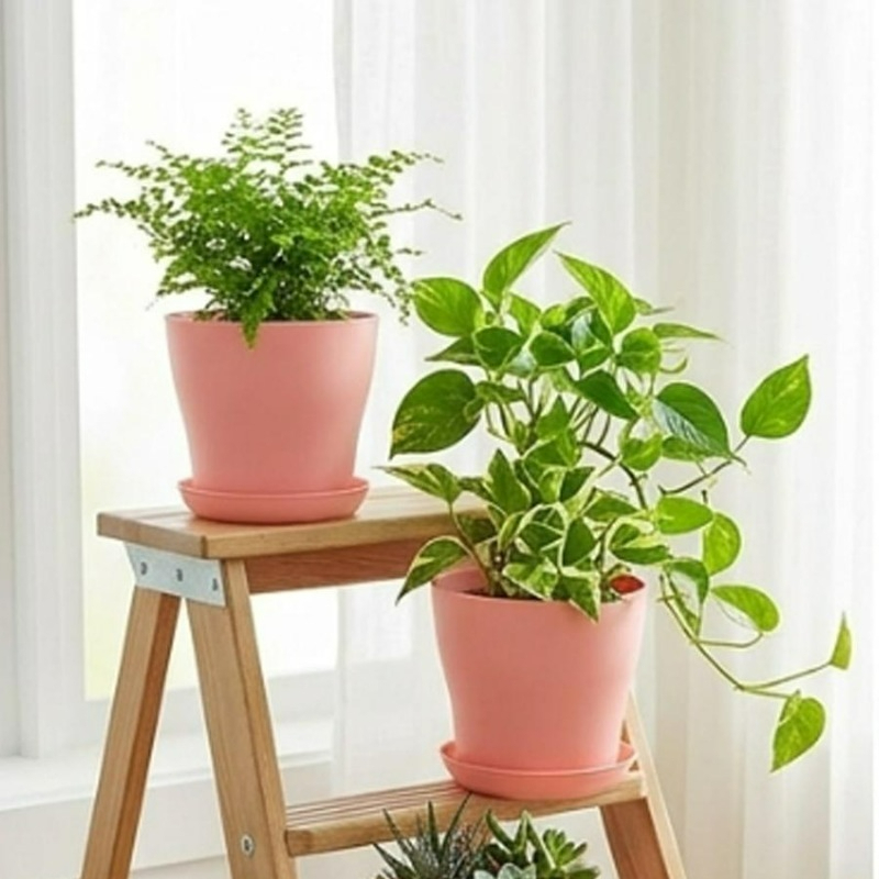 Juego de Macetas con Orificios - Indoor Herb Garden Kit reseña y precio